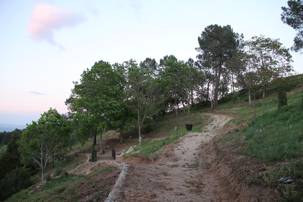 Camping Lamego Douro Valley Dış mekan fotoğraf